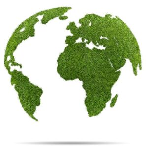 Green planet|Green planet|Hand holding tree|Recycling|Mountain herbs