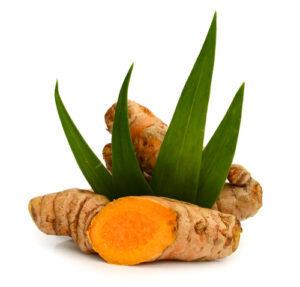 Turmeric Root|Turmeric paste|Turmeric milk