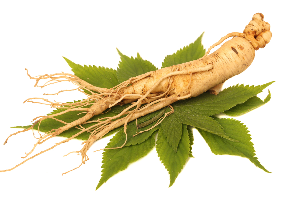 Ginseng Root|Ginseng berries|Where Ginseng is grown in USA
