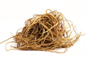 Valerian Root|Valeriana Wallichii|Valeriana Officinalis