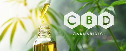 Cbd,droplet,dosing,a,biological,and,ecological,hemp,plant,herbal