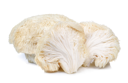 Lion,mane,mushroom,isolated,on,white,background.|Lions,mane,mushroom,in,evening,forest|Nervous And Digestive System