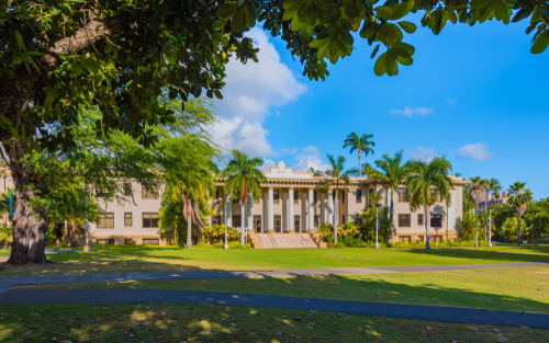 College of Hawaii Building|Chaulmoogra Fruit